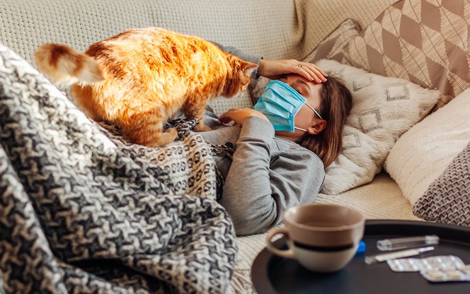 Sick woman having flu or cold lying in bed with cat wearing protective mask by pills and water on table