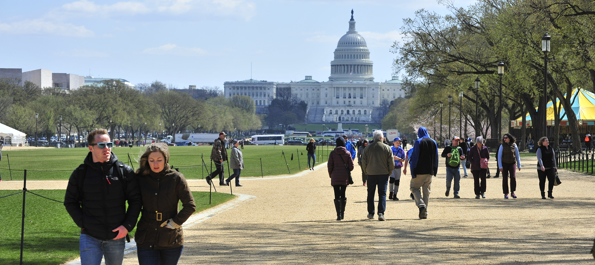 Insight Image Election