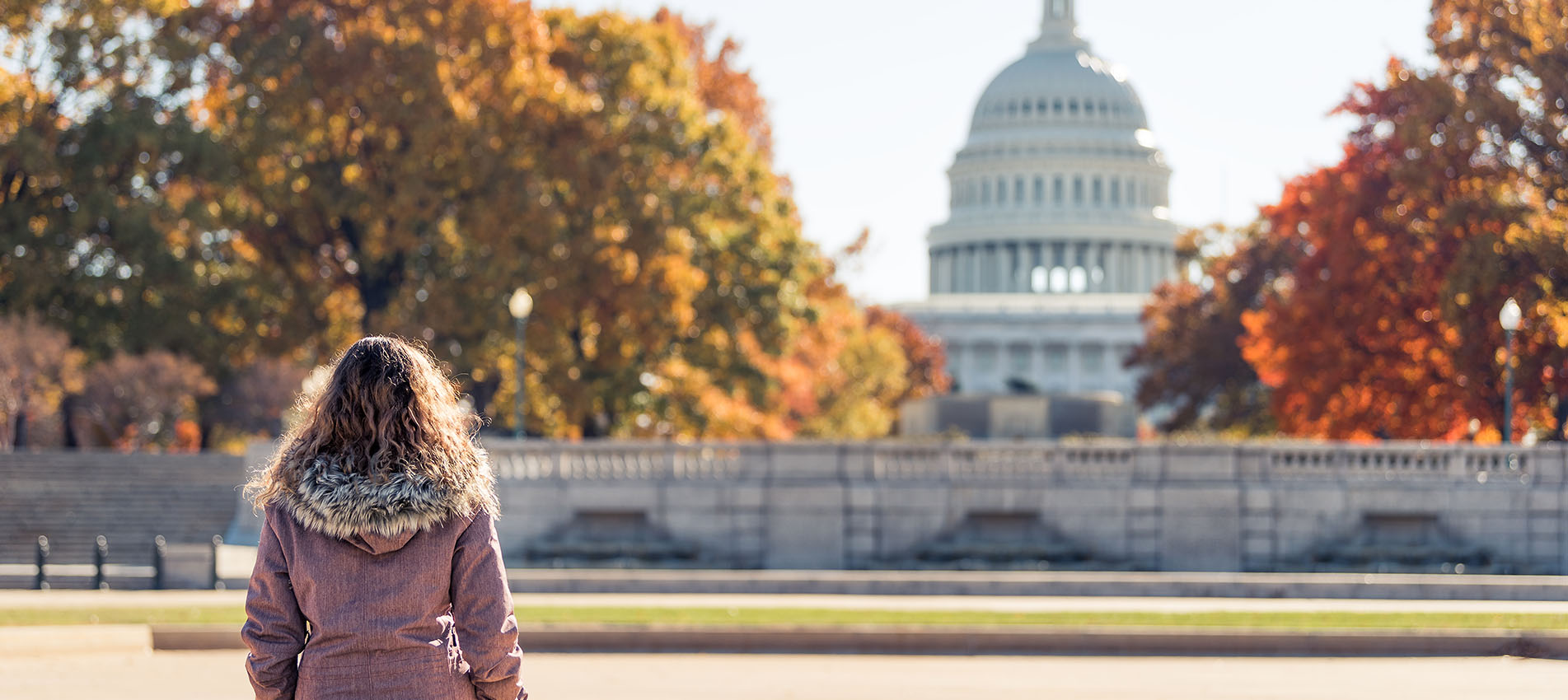 Multiemployer Pension News Legislation