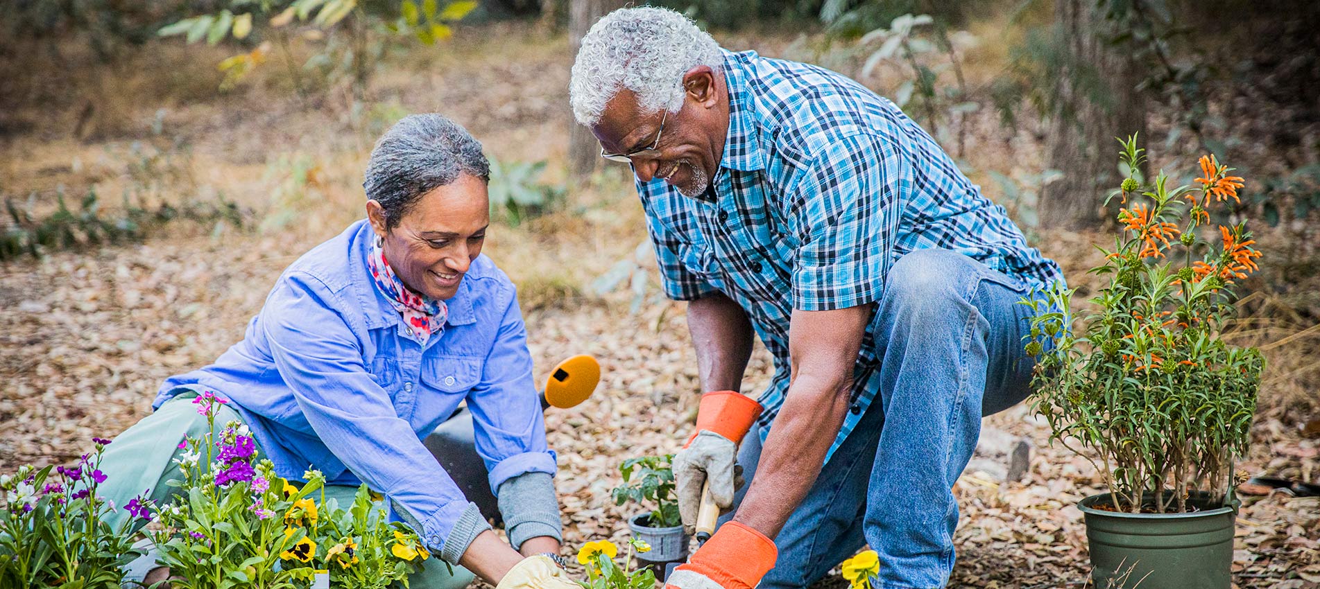 SECURE 2.0 Retirement Reform: House Passes Bipartisan Bill