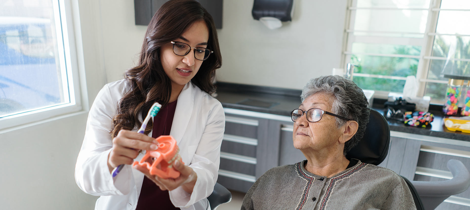 Female Dentist Holding Dental Model And Showing To Patient